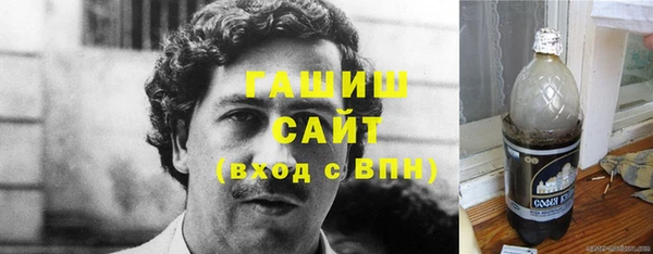 индика Пестово