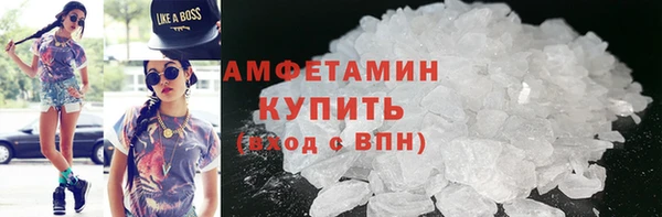 индика Пестово