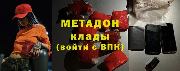 индика Пестово