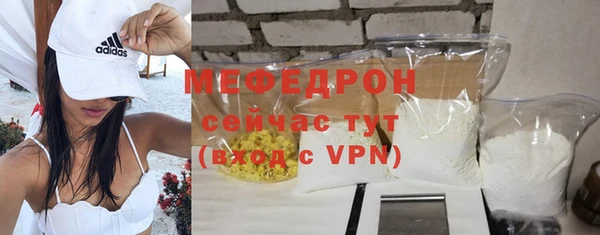 индика Пестово