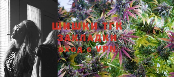 индика Пестово