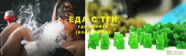 индика Пестово