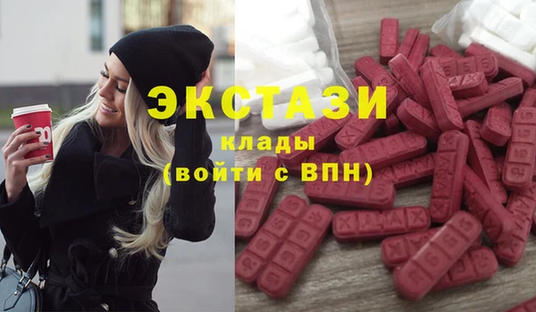 индика Пестово