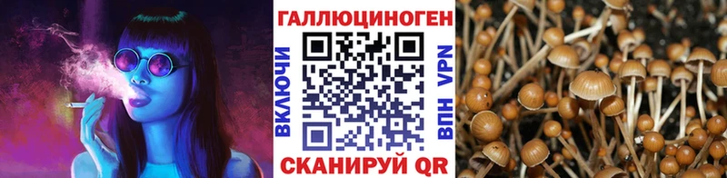 Галлюциногенные грибы прущие грибы  Купить  Дмитровск 